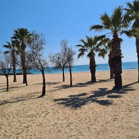 Mobil-home 661 Camping Plage Saint Aygulf